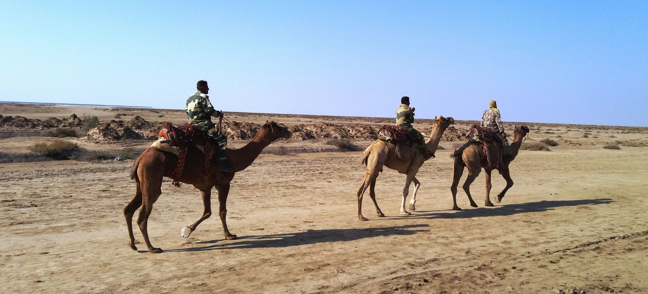 Top Rann Utsav Gujarat Tour Deals 2026